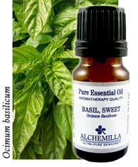 Basil Essential Oil (Organic)