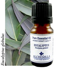 Eucalyptus Organic Essential Oil