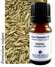 Fennel Organic Essential Oil