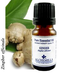 Ginger Essential Oil (Organic)