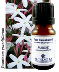 Jasmine Essential Oil