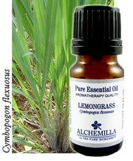Lemongrass Organic Essential Oil