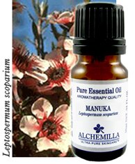Organic Manuka Essential Oil
