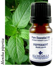 Peppermint Essential Oil