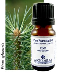 Pine Organic Essential Oil