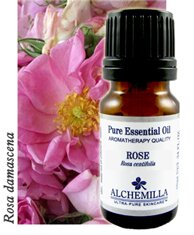 Rose Essential Oil (Pure, Absolute)