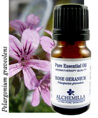 Rose Geranium Essential Oil (Organic)