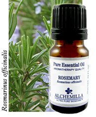 http://www.myalchemilla.com/Images/Aromatherapy/PureEssentialOils/RosemaryEssentialOil.jpg