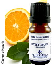 Sweet Orange Organic Essential Oil