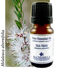 Tea Tree Organic Essential Oil