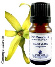 Ylang Ylang Organic Essential Oil