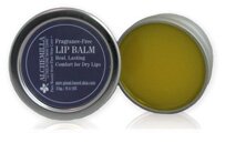 Lip Balm (Fragrance-Free)