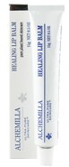 Healing Lip Balm