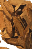 Glycyrrhiza glabra (Licorice)