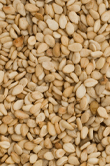 Sesamum indicum (Sesame)